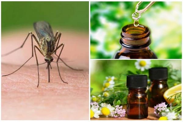 essential oils