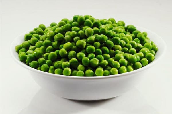 carboidratos e proteínas