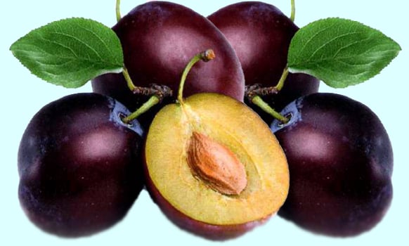 plums with twigs