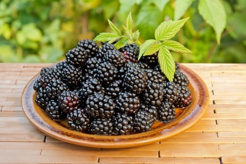 Brombeeren in einem Teller