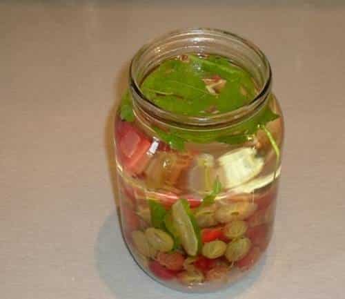 компот од коприве