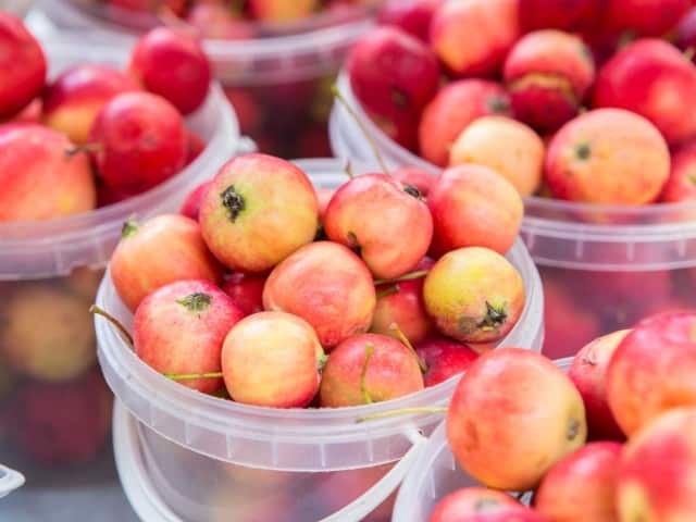 Ranetka apples