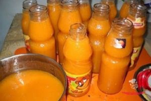 Uma receita simples de suco de damasco com polpa para o inverno em casa