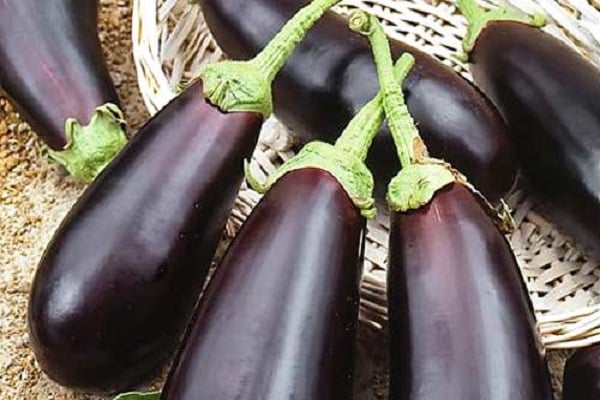 أجزاء من الساق