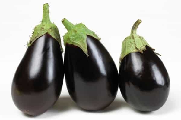 نسبة كبيرة