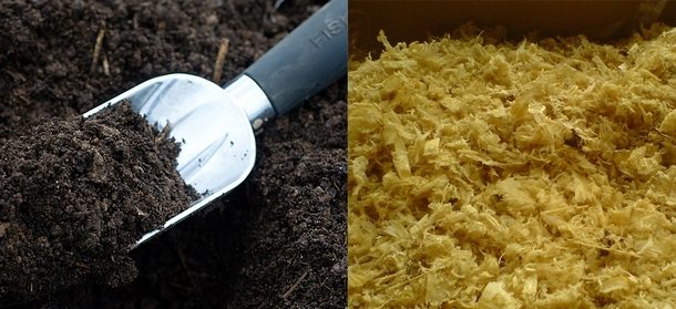 fertilization in the soil