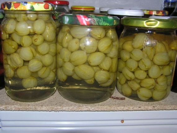 компот од коприве