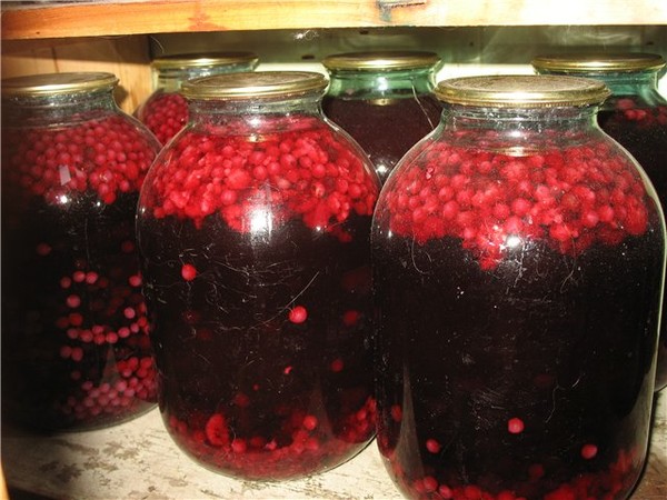 كومبوت من irgi