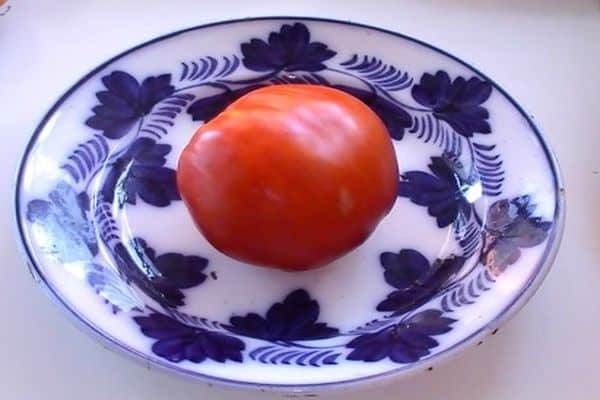طماطم على طبق