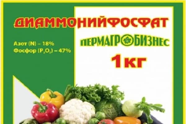 есенцијални макронутријенти