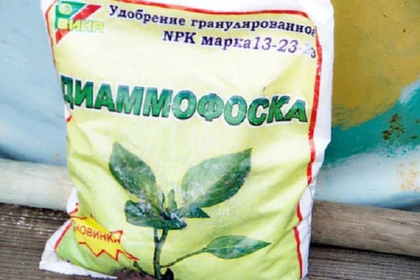 комплексан утицај