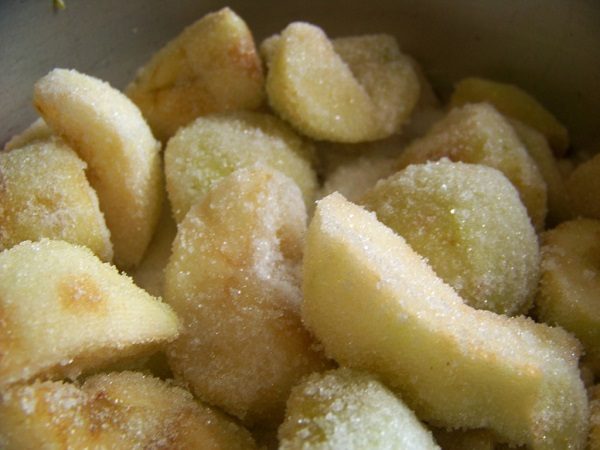 apple slices