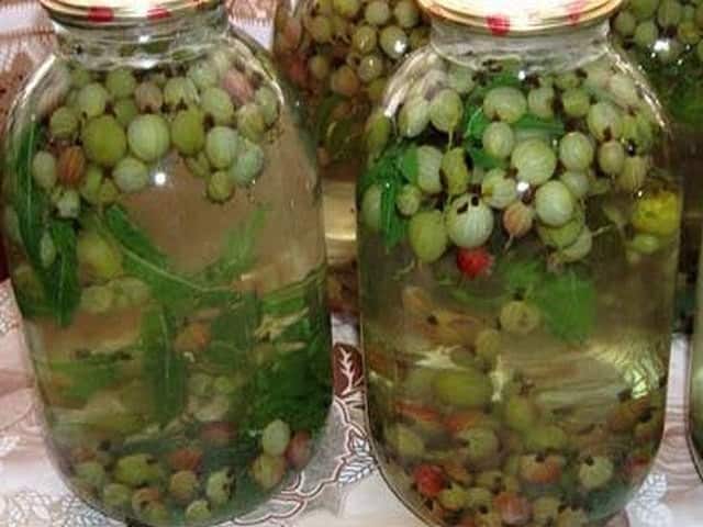 компот од коприве