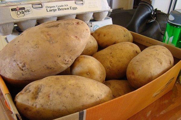 maneiras de salvar