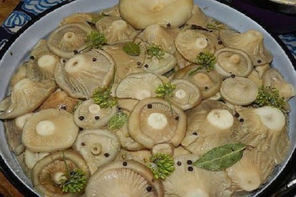 عبق ولذيذ
