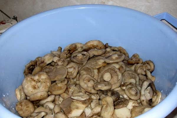 اتركه ليبرد