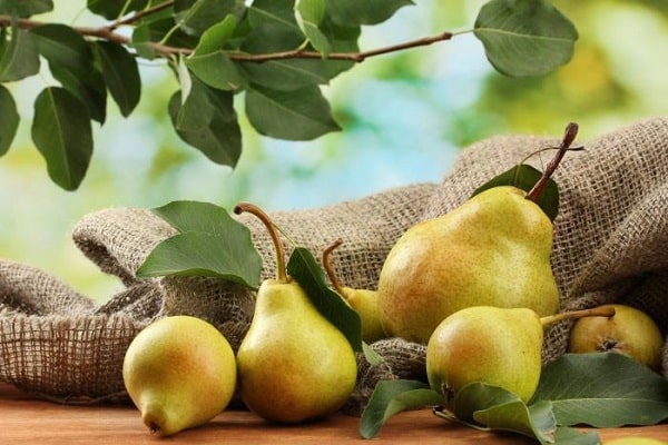 fruits gâtés