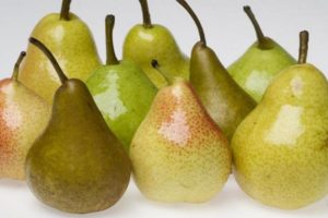Είναι δυνατόν να παγώσετε τα αχλάδια στον καταψύκτη για το χειμώνα και πώς να το κάνετε σωστά