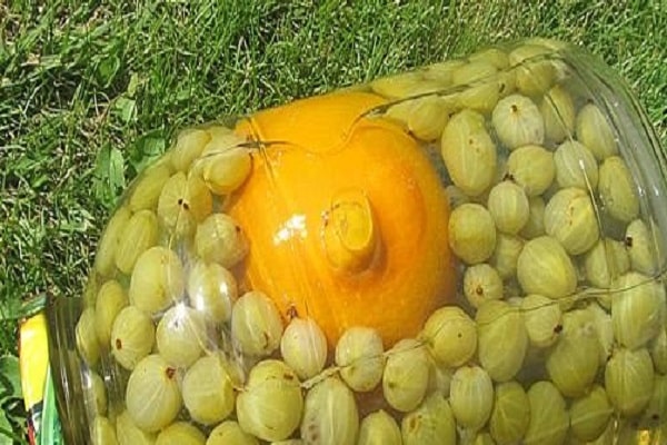 compota de cozinha