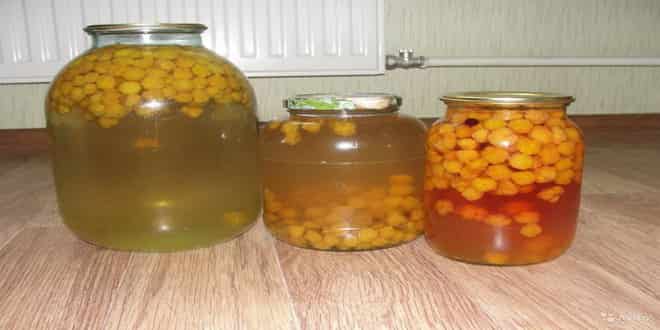 Compote de chicouté