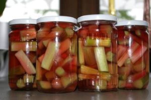 Ett enkelt recept för att göra rabarberkompott för vintern