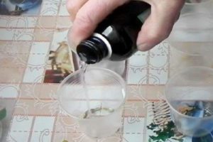 É necessário embeber as sementes de pepino tratadas antes do plantio e é possível