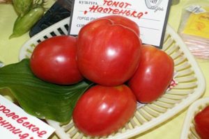 Характеристики и описание на сорта домат Настенка, неговият добив