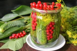 TOP 8 step-by-step recipes for cooking cucumbers with currants for the winter