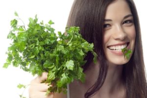 Đặc tính chữa bệnh và chống chỉ định của mùi tây đối với cơ thể con người