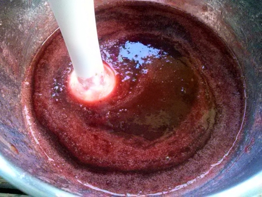 mashed plums