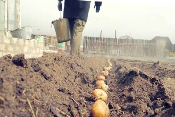 датуми слетања