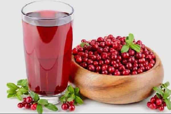 κατεψυγμένο lingonberry