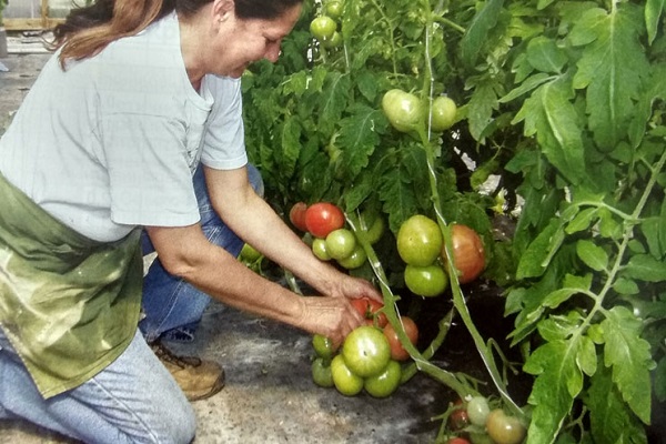 заједно са биљкама