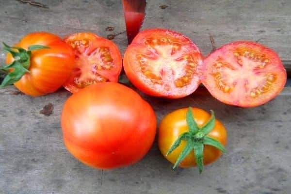 cut tomatoes