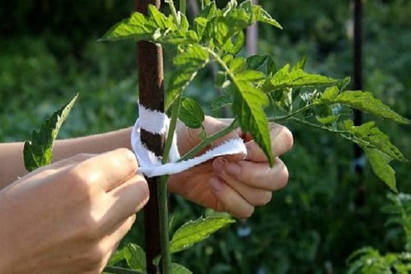 صعوبة في المغادرة