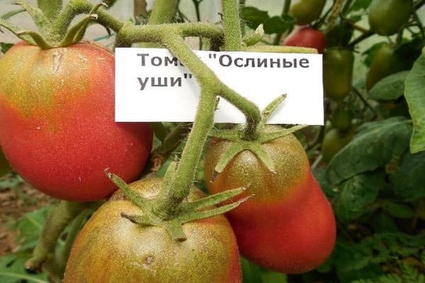αρνητικές ιδιότητες