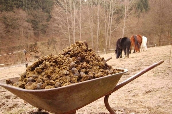necesario para las plantas
