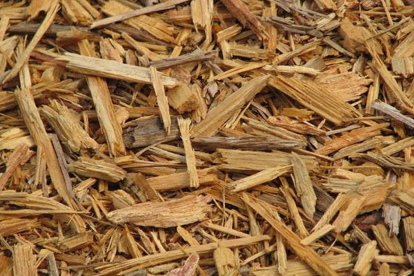 intercalado con tierra