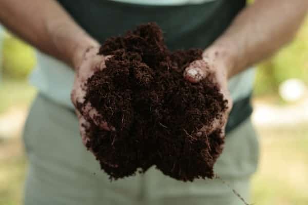 fertilizantes organicos