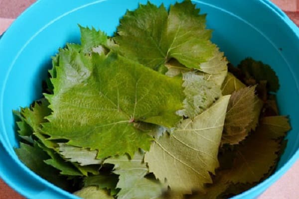 virimo dolma