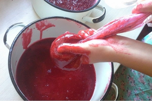 mit roter Johannisbeere