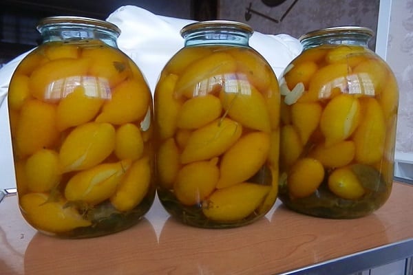 رعاية النبات