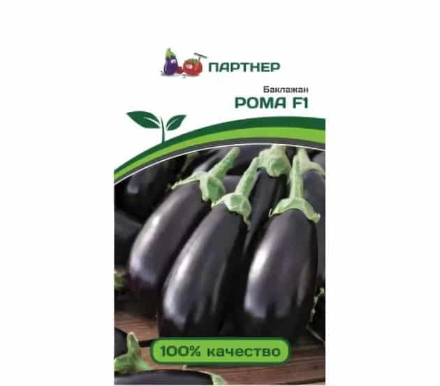 الباذنجان روما