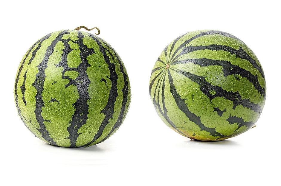 البطيخ الناضج