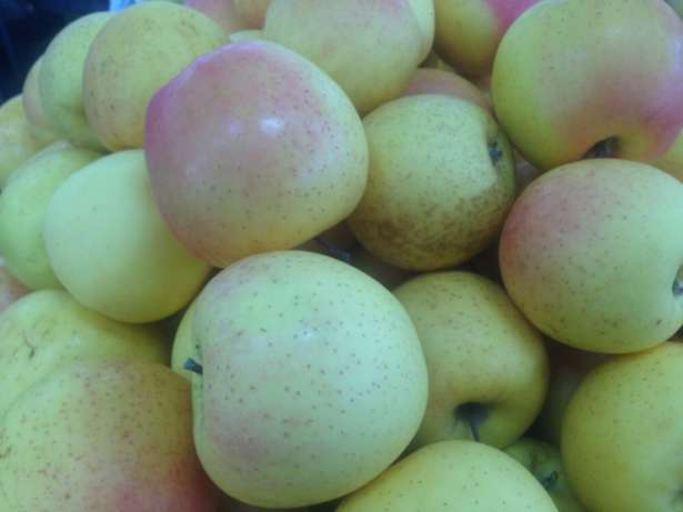 delicious apples