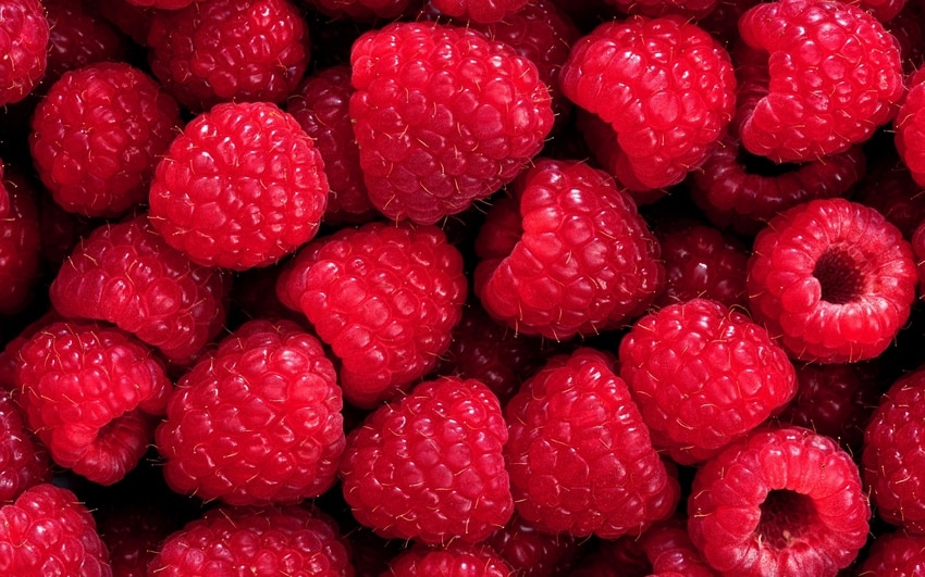 zralé maliny