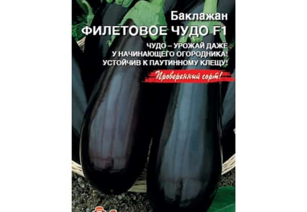 σπόροι μελιτζάνας Purple Miracle F1