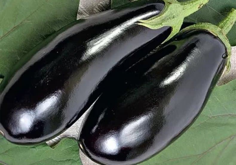 الأمير الأسود