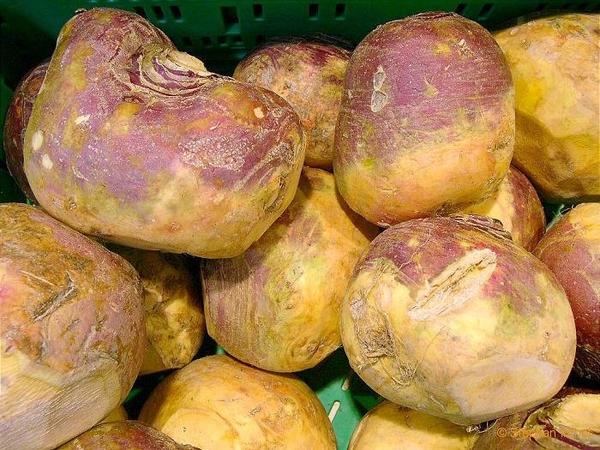 rutabaga mûr