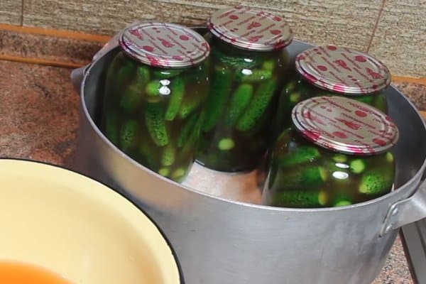 cucumber preservation process
